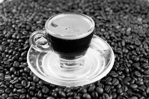 Espresso Double Shot