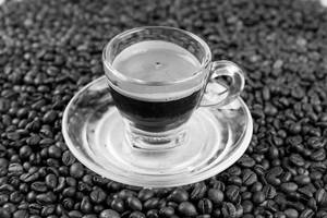 Espresso Shot