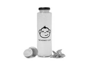 Lime Hydrator
