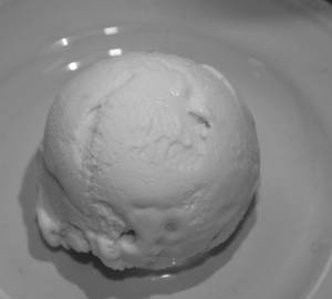 Vanilla Scoop