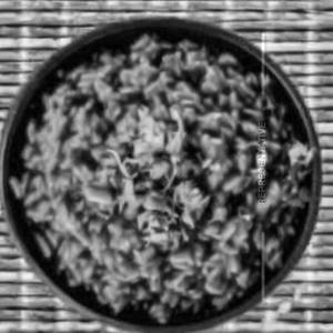 Chole Rice