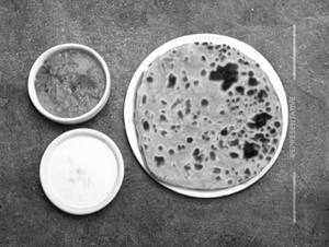 Aloo Paratha