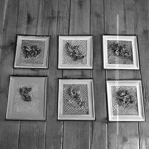 Frames