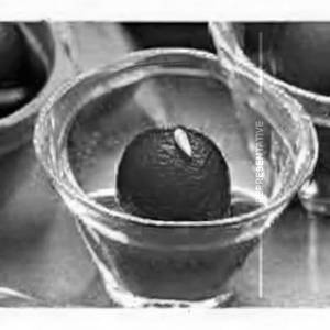 Kala Jamun(Black Jamun)