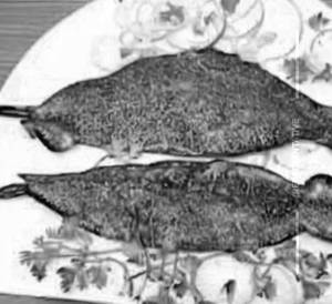 Sole Fish Tawa Fry