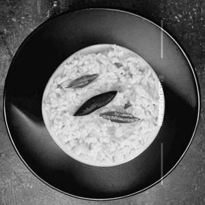Curd Rice