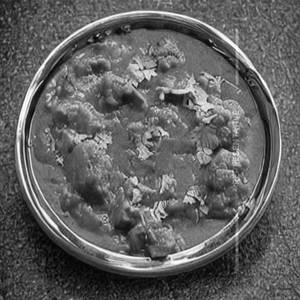 Mushroom Masala