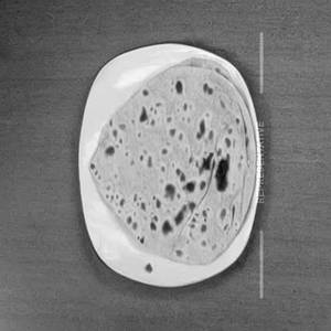 Plain Chapati