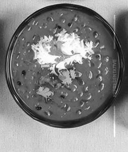 Dal Makhani