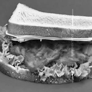 Vegetable Sandwich