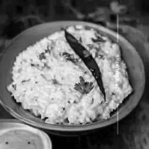 Plain Curd Rice