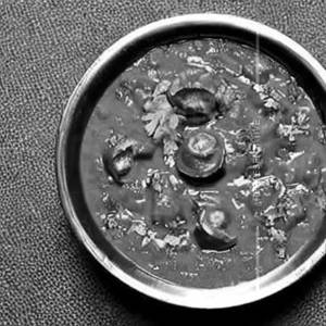 Mushroom masala