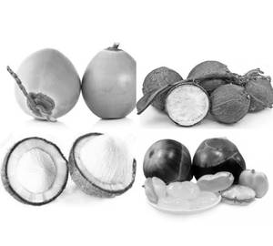 Tender Coconut Flower Within Nungu (750Ml)