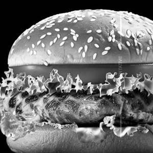 Grilled Chicken Burger