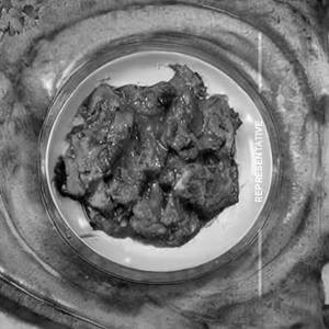 Methi Chicken