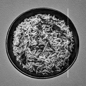 Palak Rice