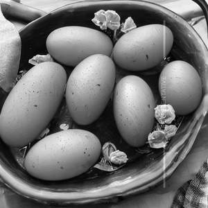 Egg Pepper