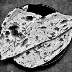 Butter Garlic Naan
