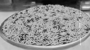 Kaju Rice
