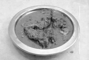 Chicken Mughlai