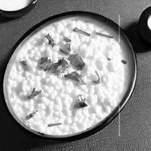 Curd Rice