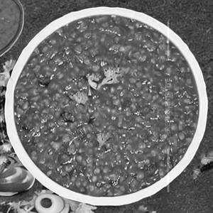 Daal Fry