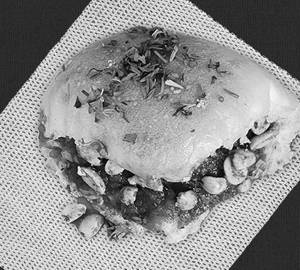 Sada jumbo dabeli
