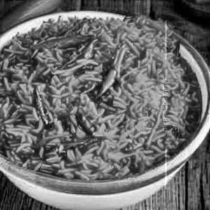 Veg Biryani