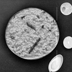 Liquid Khichdi