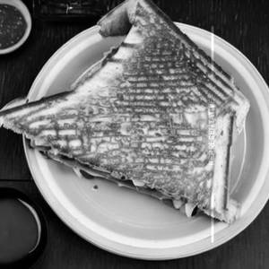 Cheese Toasted Sandwich