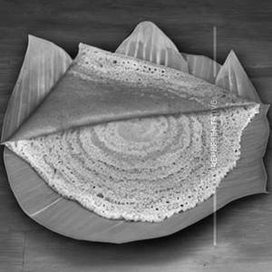 Bharti Foods Special Dosa
