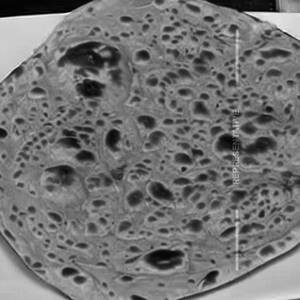 Jashn e Paratha 