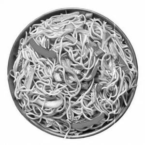 Veg Schezwan Noodles