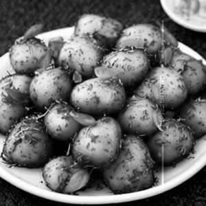 Dragon Potato