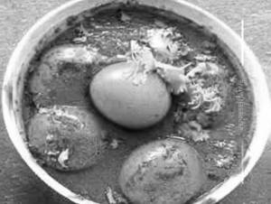 Egg Curry