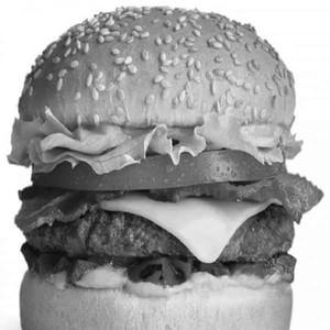 Hot N Spicy Burger