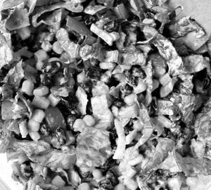 Jonty Rhodes Trotilla and Beans Salad [Chicken]
