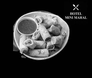Veg Spring Rolls