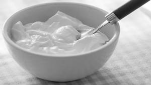 Plain Curd