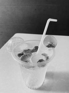 Lime Mint Mojito