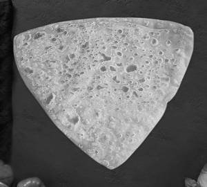 Tawa Paratha