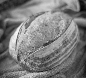 Country Classic Sourdough