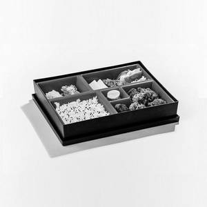 Chicken Karaage Bento/dosirak
