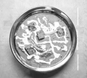 Paneer Mumtaz