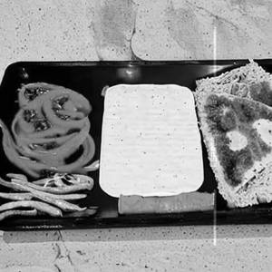 Veg. Cheese Grill
