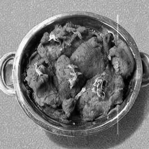 Chicken Banjara Dry