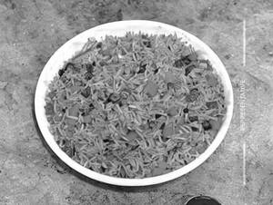 Veg Schezwan Fried Rice