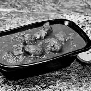 Boneless Chicken Patiyala