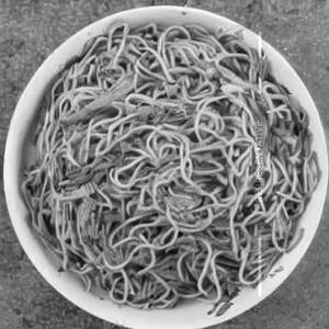 Chicken Schezwan Garlic Noodles