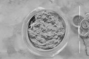 Tandoori Dip